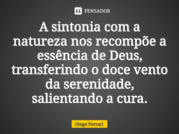 ⁠A sintonia com a natureza nos recompõe a essência de Deus, transferindo o doce vento da serenidade, salientando a cura.... Frase de Diego Ferrari.