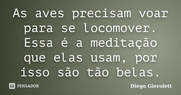 As aves precisam voar para se locomover. Essa é a meditação que elas usam, por isso são tão belas.... Frase de Diego Gierolett.