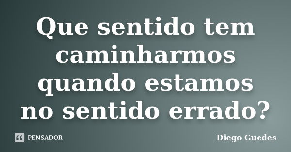 Que sentido tem caminharmos quando estamos no sentido errado?... Frase de Diego Guedes.