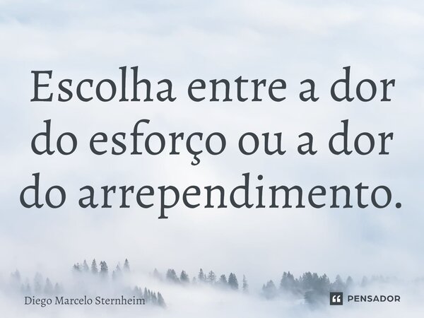 Escolha entre a dor do esforço ou a dor do arrependimento.... Frase de Diego Marcelo Sternheim.