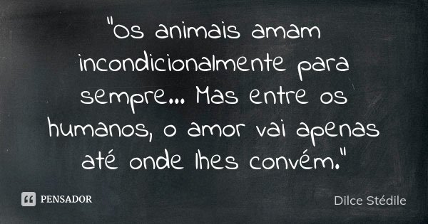 "Os animais amam incondicionalmente para sempre... Mas entre os humanos, o amor vai apenas até onde lhes convém."... Frase de Dilce Stédile.