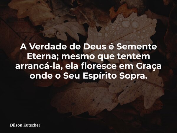 A Verdade de Deus é Semente Eterna; mesmo que tentem arrancá-la, ela floresce em Graça onde o Seu Espírito Sopra.... Frase de Dilson Kutscher.