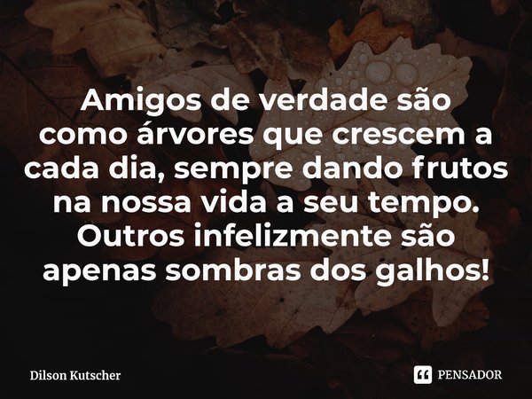 ⁠Amigos de verdade são comoárvores que crescema cada dia,sempre dando frutos na nossa vida a seu tempo. Outros infelizmente são apenas sombras dos galhos!... Frase de Dilson Kutscher.