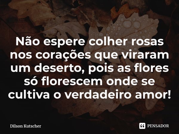 Não espere colher rosas nos corações que viraram um deserto, pois as flores só florescem onde se cultiva o verdadeiro amor!⁠... Frase de Dilson Kutscher.