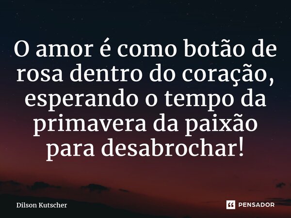 ⁠O amor é como botão de rosa dentro do coração, esperando o tempo da primavera da paixão para desabrochar!... Frase de Dilson Kutscher.