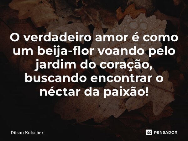 O verdadeiro amor é como um beija-flor voando pelo jardim do coração, buscando encontrar o néctar da paixão!... Frase de Dilson Kutscher.