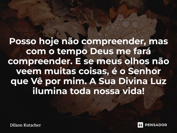 ⁠ Posso hoje não compreender, mas com o tempo Deus me fará compreender. E se meus olhos não veem muitas coisas, é o Senhor que Vê por mim. A Sua Divina Luz ilum... Frase de Dilson Kutscher.