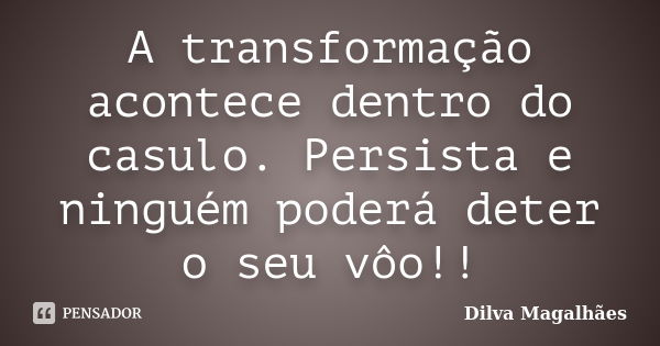 A transformação acontece dentro do casulo. Persista e ninguém poderá deter o seu vôo!!... Frase de Dilva Magalhães.