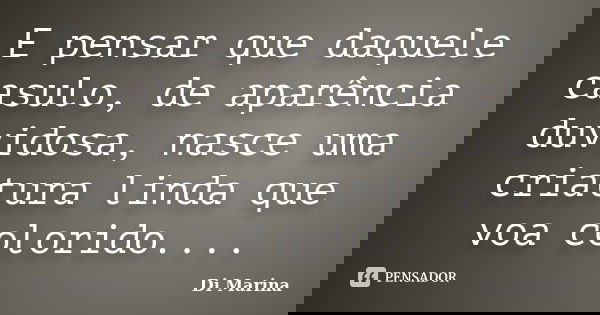 E pensar que daquele casulo, de aparência duvidosa, nasce uma criatura linda que voa colorido....... Frase de Di Marina.