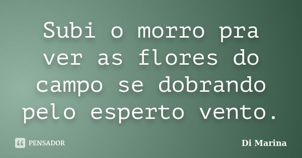 Subi o morro pra ver as flores do campo se dobrando pelo esperto vento.... Frase de Di Marina.