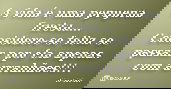 A vida é uma pequena fresta... Considere-se feliz se passar por ela apenas com arranhões!!!... Frase de di matioli.