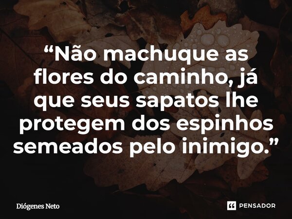 ⁠“Não machuque as flores do caminho, já que seus sapatos lhe protegem dos espinhos semeados pelo inimigo.”... Frase de Diógenes Neto.