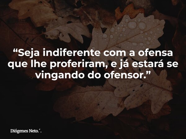 “Seja indiferente com a ofensa que lhe proferiram, e já estará se vingando do ofensor.”... Frase de Diógenes Neto...