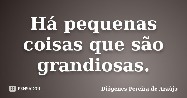 Há pequenas coisas que são grandiosas.... Frase de Diógenes Pereira de Araújo.