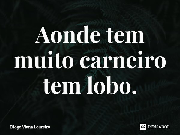 ⁠Aonde tem muito carneiro tem lobo.... Frase de Diogo Viana Loureiro.