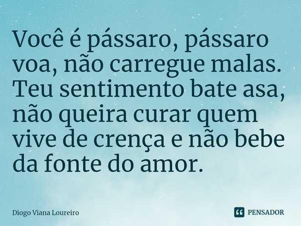 ⁠Você é pássaro, pássaro voa, não carregue malas. Teu sentimento bate asa, não queira curar quem vive de crença e não bebe da fonte do amor.... Frase de Diogo Viana Loureiro.
