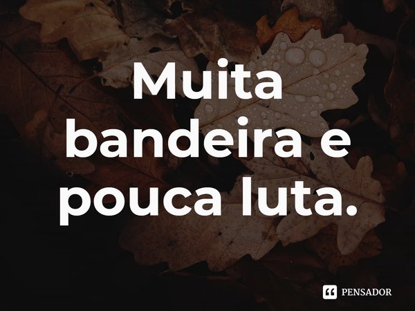 ⁠Muita bandeira e pouca luta.... Frase de Dionathan Hart.