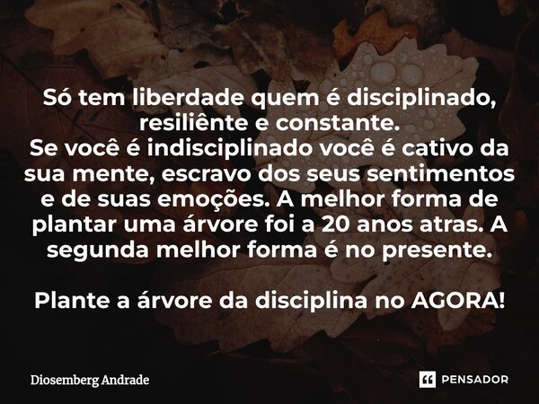 ⁠Só tem liberdade quem é disciplinado, resiliênte e constante. Se você é indisciplinado você é cativo da sua mente, escravo dos seus sentimentos e de suas emoçõ... Frase de Diosemberg Andrade.