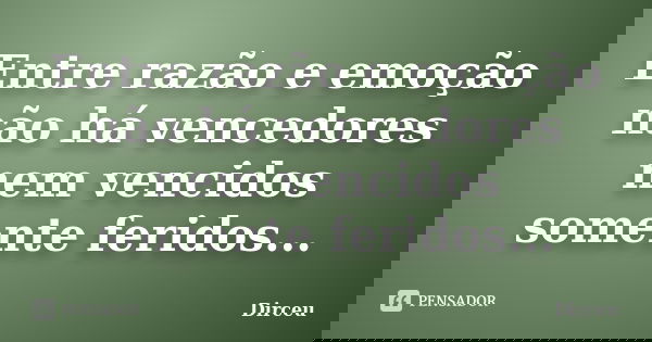 Entre razão e emoção não há vencedores nem vencidos somente feridos...... Frase de Dirceu.