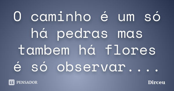 O caminho é um só há pedras mas tambem há flores é só observar....... Frase de Dirceu.