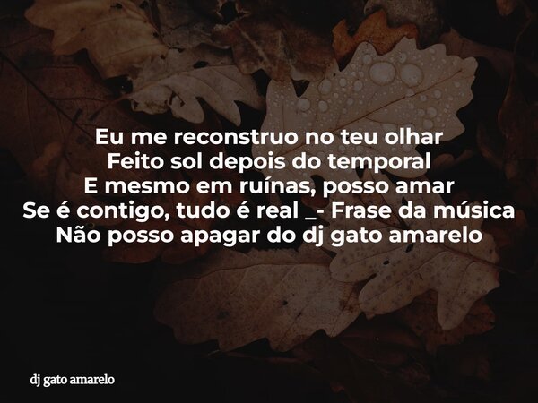 Eu me reconstruo no teu olhar Feito sol depois do temporal E mesmo em ruínas, posso amar Se é contigo, tudo é real _- Frase da música Não posso apagar do dj gat... Frase de dj gato amarelo.