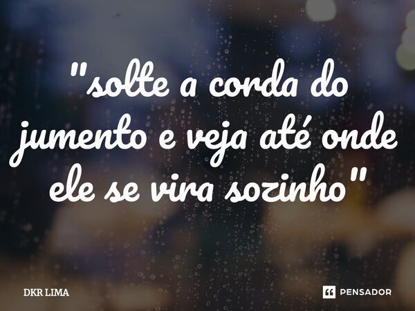 ⁠"solte a corda do jumento e veja até onde ele se vira sozinho"... Frase de DKR LIMA.