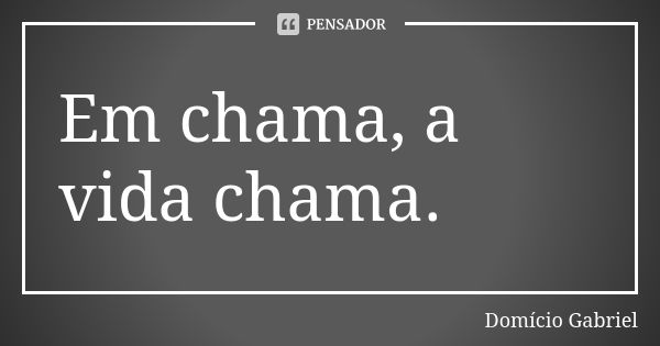 Em chama, a vida chama.... Frase de Domício Gabriel.