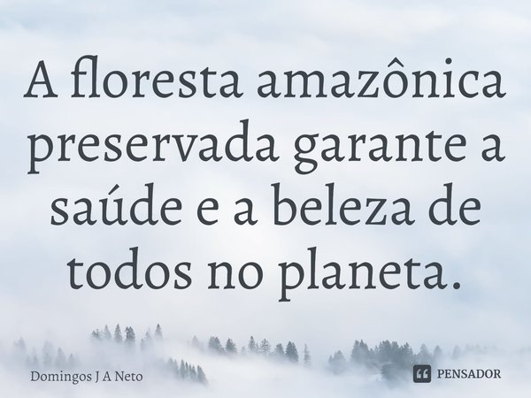 ⁠A floresta amazônica preservada garante a saúde e a beleza de todos no planeta.... Frase de Domingos J A Neto.