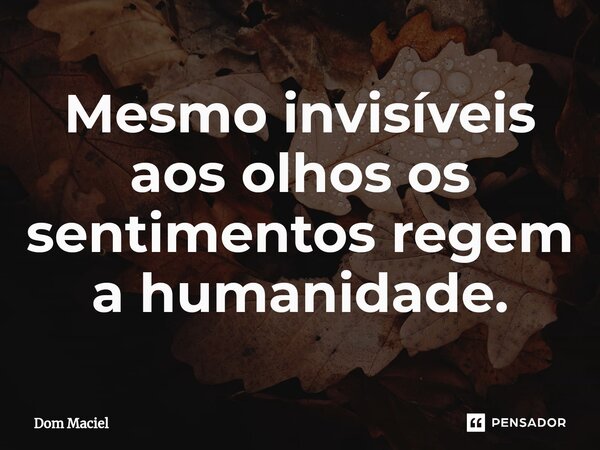 Mesmo invisíveis aos olhos os sentimentos regem a humanidade.⁠... Frase de Dom Maciel.