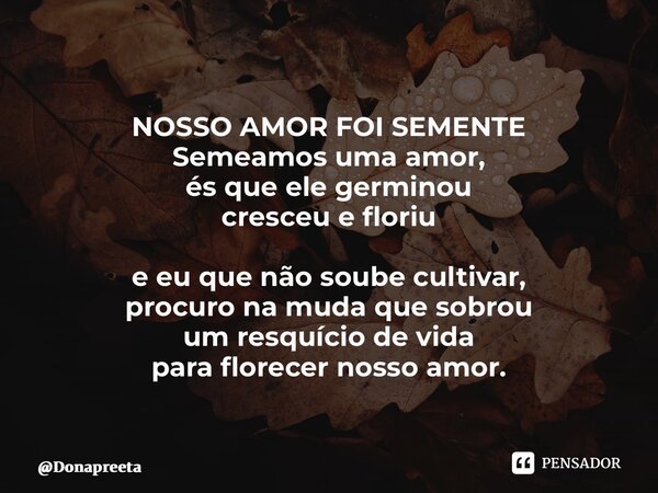 NOSSO AMOR FOI SEMENTE Semeamos uma amor, és que ele germinou cresceu e floriu e eu que não soube cultivar, procuro na muda que sobrou um resquício de vida para... Frase de Donapreeta.