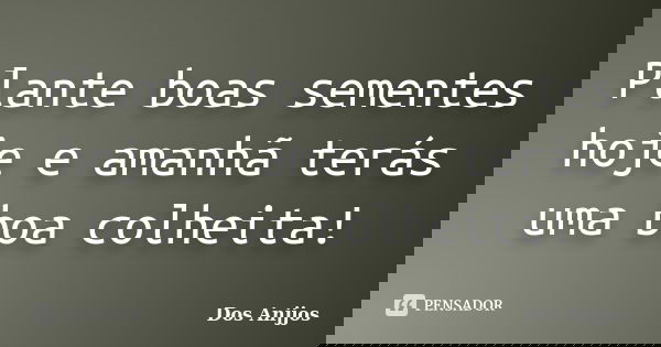 Plante boas sementes hoje e amanhã terás uma boa colheita!... Frase de Dos Anjjos.