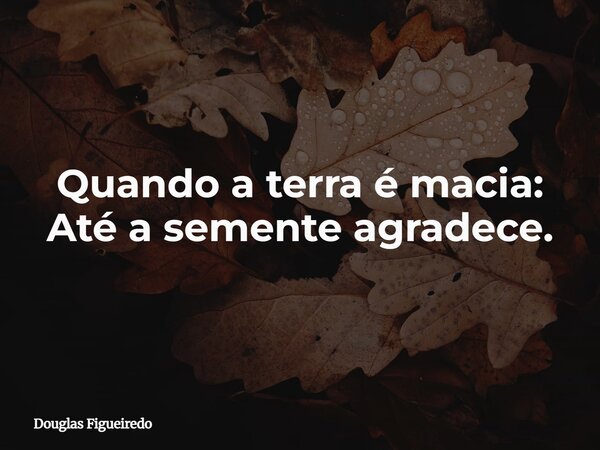 Quando a terra é macia: Até a semente agradece.⁠... Frase de Douglas Figueiredo.