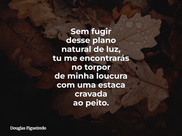 Sem fugir desse plano natural de luz, tu me encontrarás no torpor de minha loucura com uma estaca cravada ao peito.⁠... Frase de Douglas Figueiredo.