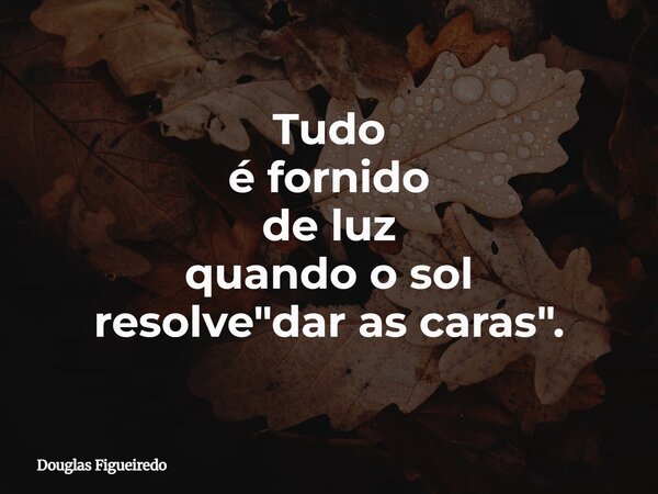 Tudo é fornido de luz quando o sol resolve "dar as caras".... Frase de Douglas Figueiredo.