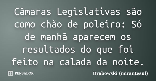 Câmaras Legislativas são como chão de poleiro: Só de manhã aparecem os resultados do que foi feito na calada da noite.... Frase de Drabowski (mirantesul).