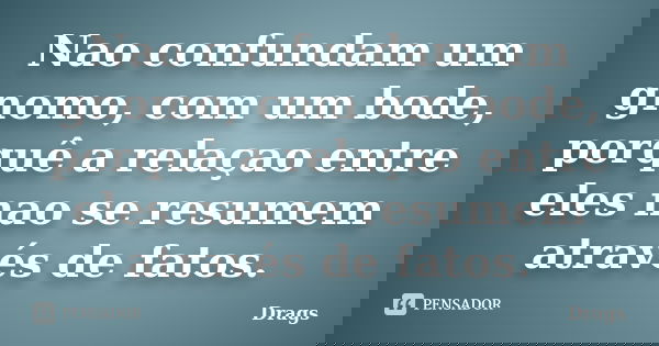 Nao confundam um gnomo, com um bode, porquê a relaçao entre eles nao se resumem através de fatos.... Frase de Drags.
