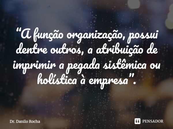 ⁠“A função organização, possui dentre outros, a atribuição de imprimir a pegada sistêmica ou holística à empresa”.... Frase de Dr. Danilo Rocha.