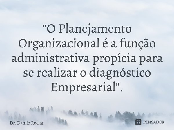⁠“O Planejamento Organizacional é a função administrativa propícia para se realizar o diagnóstico Empresarial".... Frase de Dr. Danilo Rocha.