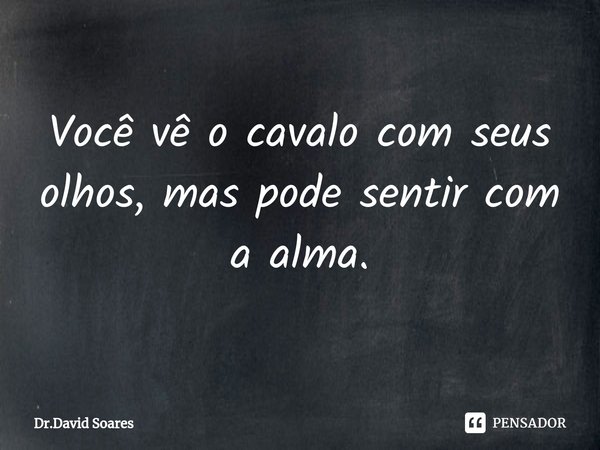 ⁠Você vê o cavalo com seus olhos, mas pode sentir com a alma.... Frase de Dr.David Soares.