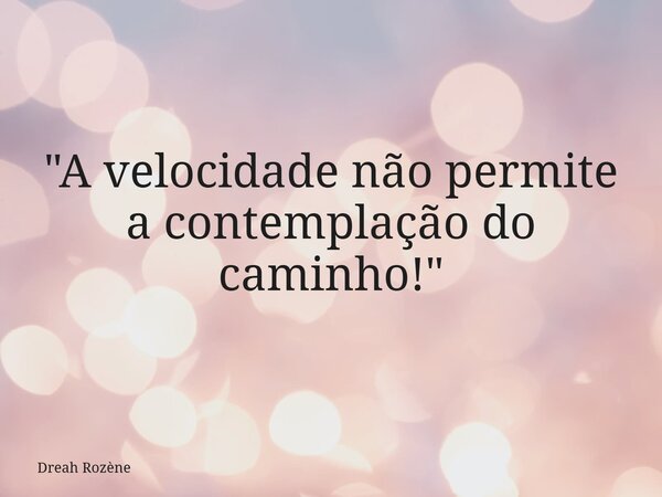 "A velocidade não permite a contemplação do caminho!"... Frase de Dreah Rozène.