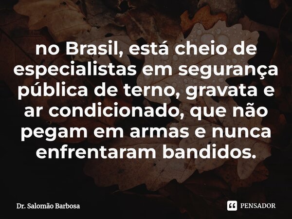 ⁠no Brasil, está cheio de especialistas em segurança pública de terno, gravata e ar condicionado, que não pegam em armas e nunca enfrentaram bandidos.... Frase de Dr. Salomão Barbosa.