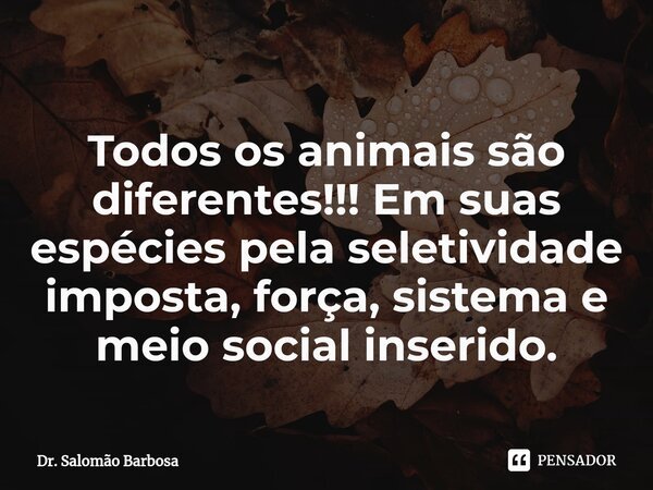 ⁠Todos os animais são diferentes!!! Em suas espécies pela seletividade imposta, força, sistema e meio social inserido.... Frase de Dr. Salomão Barbosa.