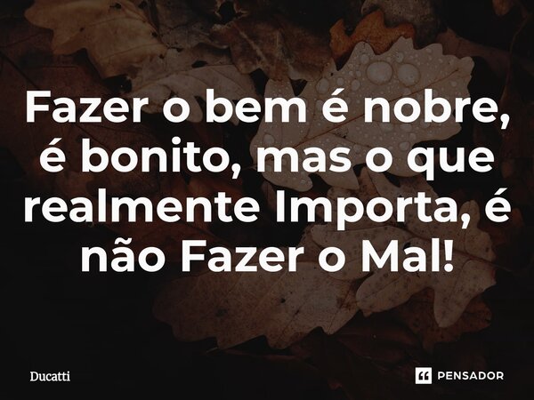 ⁠Fazer o bem é nobre, é bonito, mas o que realmente Importa, é não Fazer o Mal!... Frase de Ducatti.