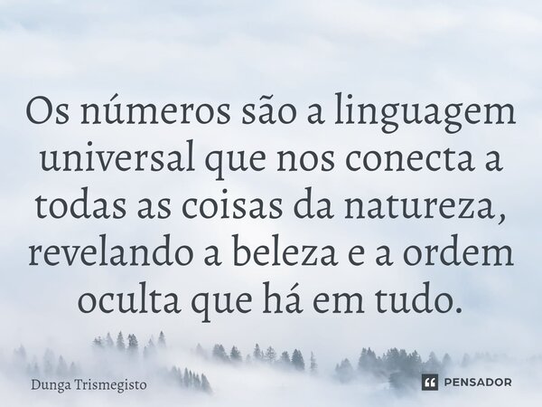 ⁠Os números são a linguagem universal que nos conecta a todas as coisas da natureza, revelando a beleza e a ordem oculta que há em tudo.... Frase de DUNGA TRISMEGISTO.