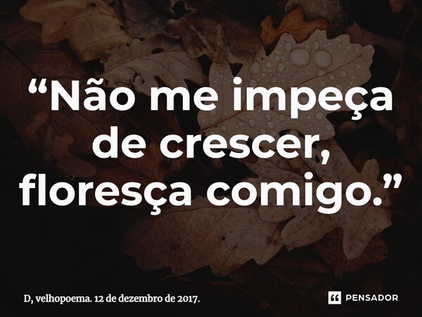 ⁠“Não me impeça de crescer, floresça comigo.”... Frase de D, velhopoema. 12 de dezembro de 2017..