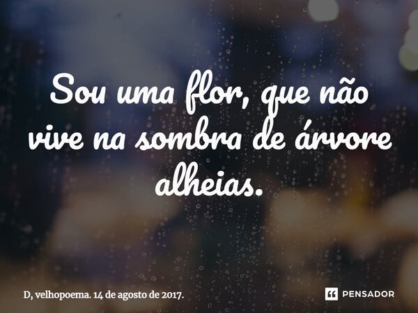 ⁠Sou uma flor, que não vive na sombra de árvore alheias.... Frase de D, velhopoema. 14 de agosto de 2017..