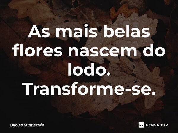 ⁠As mais belas flores nascem do lodo. Transforme-se.... Frase de Dyoléo Sumiranda.