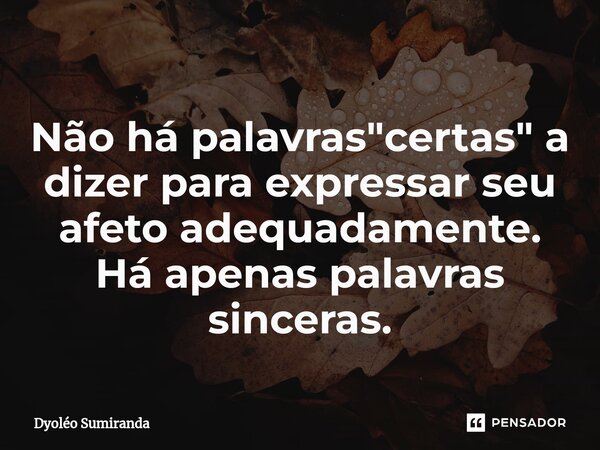 ⁠Não há palavras "certas" a dizer para expressar seu afeto adequadamente. Há apenas palavras sinceras.... Frase de Dyoléo Sumiranda.
