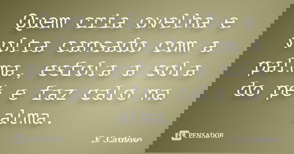 Quem cria ovelha e volta cansado com a palma, esfola a sola do pé e faz calo na alma.... Frase de E. Cardoso.