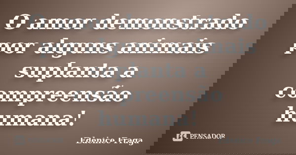 O amor demonstrado por alguns animais suplanta a compreensão humana!... Frase de Edenice Fraga.